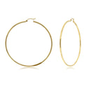 Yellow Gold 2mm High Polished Tube Hoop Earring