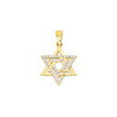 Yellow Gold CZ Star of David Pendant PN-10326